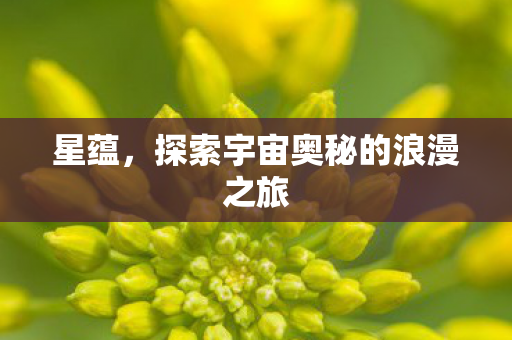 探索宇宙奥秘的浪漫之旅图片