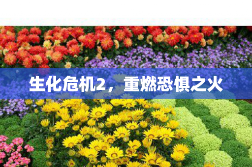 重燃恐惧之火图片