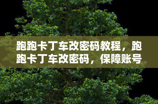 跑跑卡丁车改密码教程图片