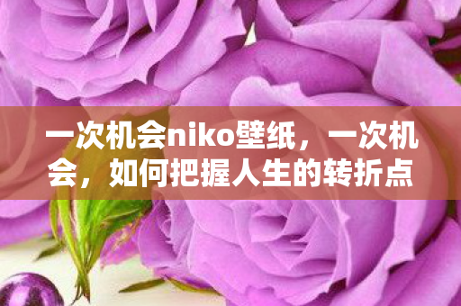 一次机会niko壁纸图片