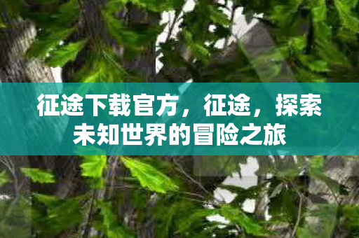 探索未知世界的冒险之旅图片