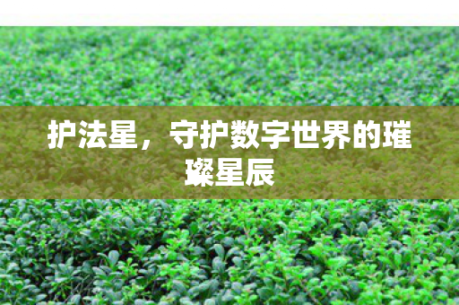 守护数字世界的璀璨星辰图片