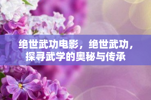 探寻武学的奥秘与传承图片