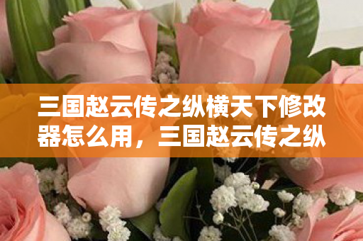 三国赵云传之纵横天下修改器怎么用图片
