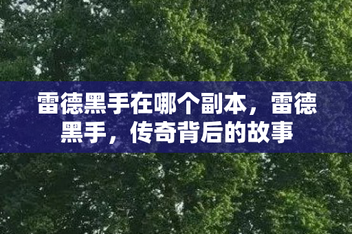 雷德黑手在哪个副本图片