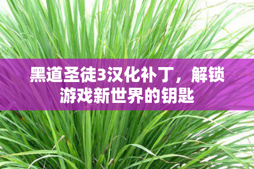 解锁游戏新世界的钥匙图片