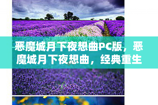 恶魔城月下夜想曲PC版图片