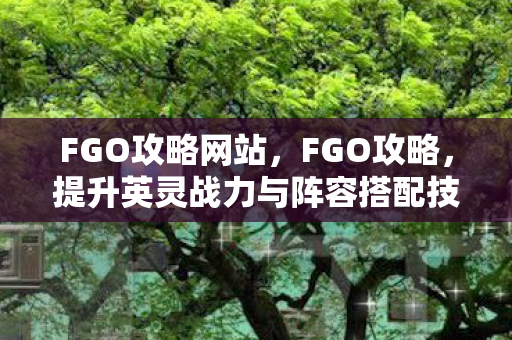 提升英灵战力与阵容搭配技巧图片