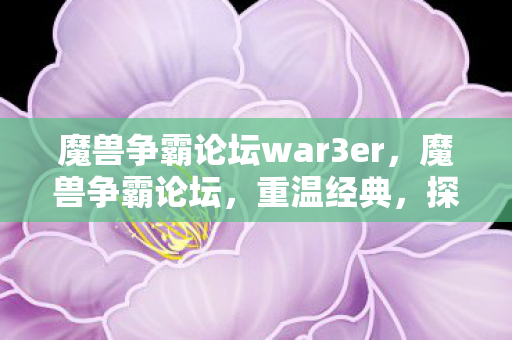 魔兽争霸论坛war3er图片