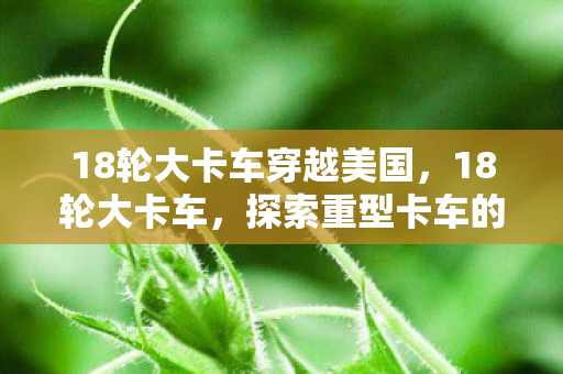 探索重型卡车的魅力与奥秘图片