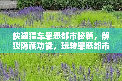 侠盗猎车罪恶都市秘籍，解锁隐藏功能，玩转罪恶都市