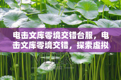 电击文库零境交错台服，电击文库零境交错，探索虚拟世界的无限可能