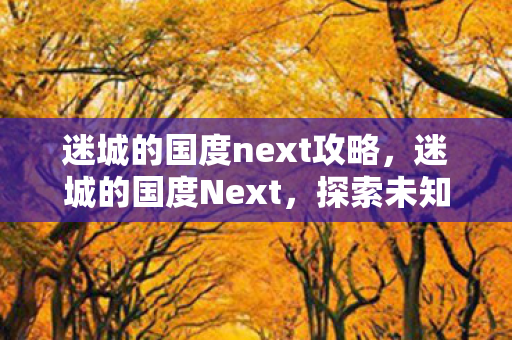 迷城的国度next攻略，迷城的国度Next，探索未知，挑战自我