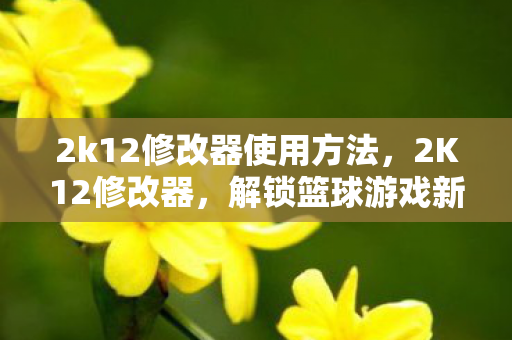 2k12修改器使用方法，2K12修改器，解锁篮球游戏新体验