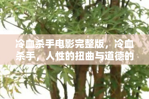 冷血杀手电影完整版，冷血杀手，人性的扭曲与道德的沦丧