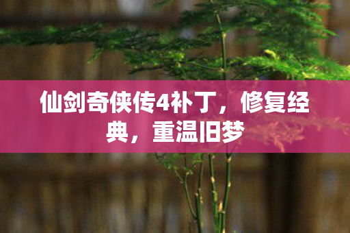 仙剑奇侠传4补丁，修复经典，重温旧梦
