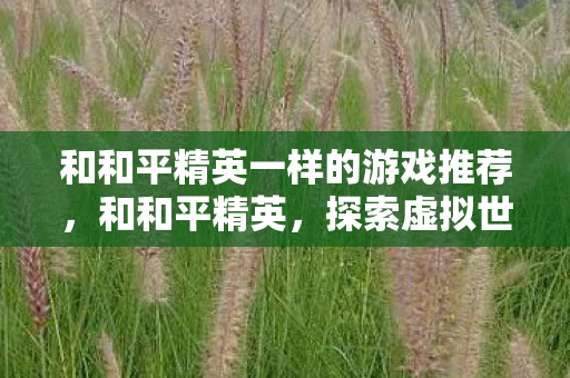 和和平精英一样的游戏推荐，和和平精英，探索虚拟世界的无限可能