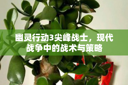 幽灵行动3尖峰战士,现代战争中的战术与策略 幽灵行动3尖峰战士,现代战争中的战术与策略