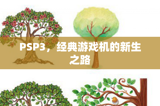 PSP3，经典游戏机的新生之路