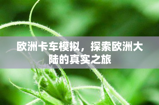 欧洲卡车模拟，探索欧洲大陆的真实之旅