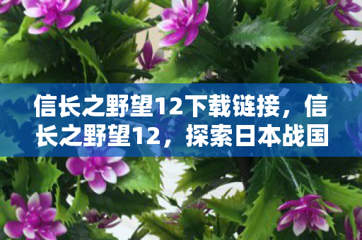 信长之野望12下载链接，信长之野望12，探索日本战国时代的深度策略游戏
