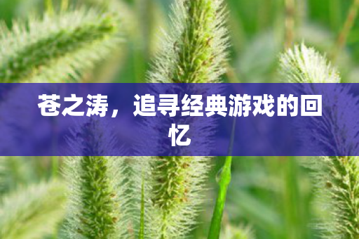 苍之涛,追寻经典游戏的回忆 苍之涛,追寻经典游戏的回忆