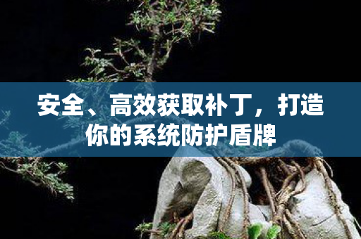安全、高效获取补丁，打造你的系统防护盾牌