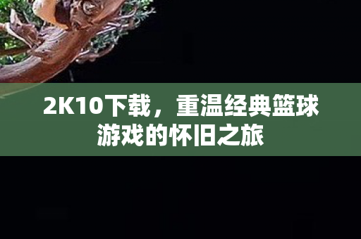 2K10下载，重温经典篮球游戏的怀旧之旅