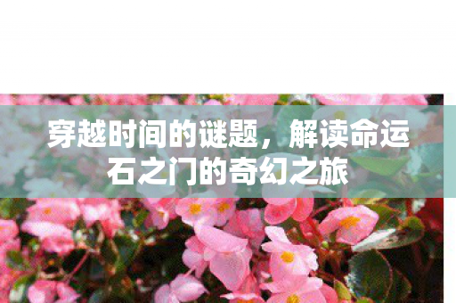 穿越时间的谜题，解读命运石之门的奇幻之旅