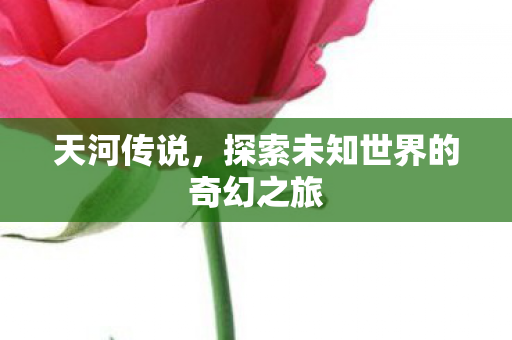 天河传说，探索未知世界的奇幻之旅