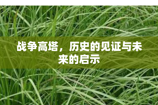 战争高塔,历史的见证与未来的启示 战争高塔,历史的见证与未来的启示