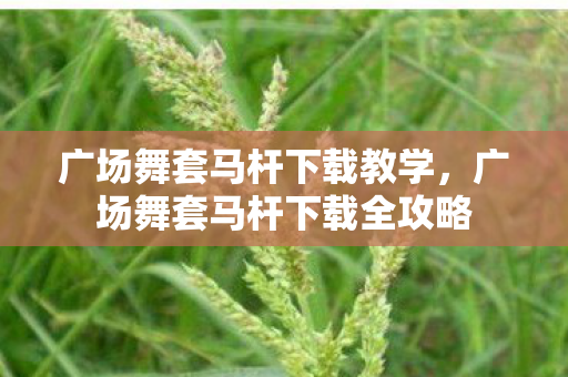 广场舞套马杆下载全攻略图片