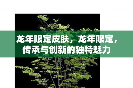 龙年限定皮肤，龙年限定，传承与创新的独特魅力