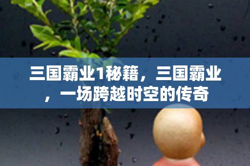 三国霸业1秘籍，三国霸业，一场跨越时空的传奇