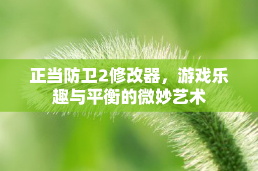 正当防卫2修改器，游戏乐趣与平衡的微妙艺术