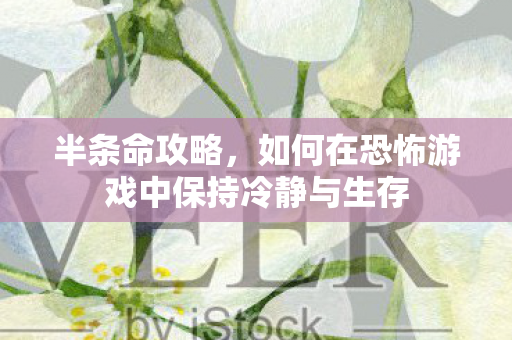 半条命攻略，如何在恐怖游戏中保持冷静与生存