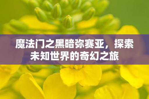 魔法门之黑暗弥赛亚,探索未知世界的奇幻之旅 魔法门之黑暗弥赛亚,探索未知世界的奇幻之旅