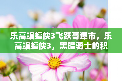乐高蝙蝠侠3飞跃哥谭市，乐高蝙蝠侠3，黑暗骑士的积木冒险