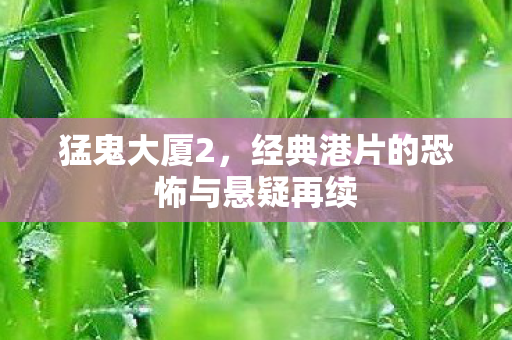 猛鬼大厦2，经典港片的恐怖与悬疑再续