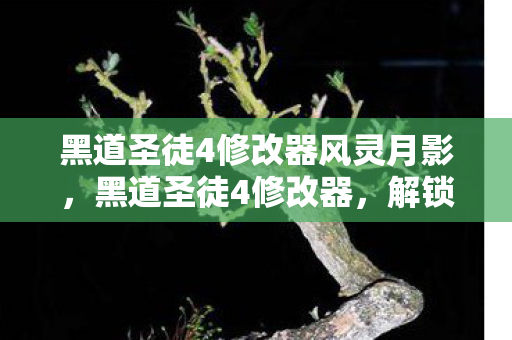 黑道圣徒4修改器风灵月影，黑道圣徒4修改器，解锁无限可能的工具