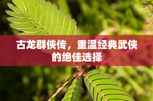古龙群侠传，重温经典武侠的绝佳选择
