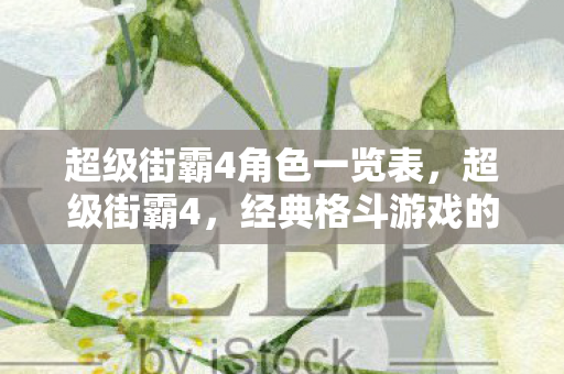 超级街霸4角色一览表，超级街霸4，经典格斗游戏的传奇再现