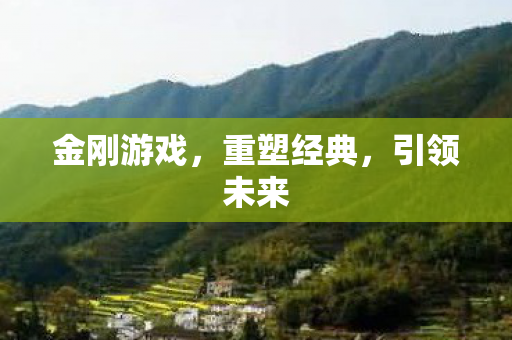 金刚游戏，重塑经典，引领未来