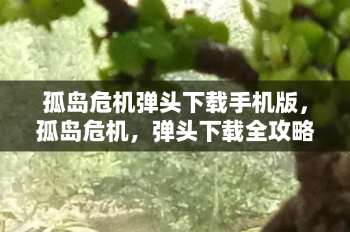 孤岛危机弹头下载手机版，孤岛危机，弹头下载全攻略
