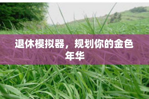 退休模拟器，规划你的金色年华
