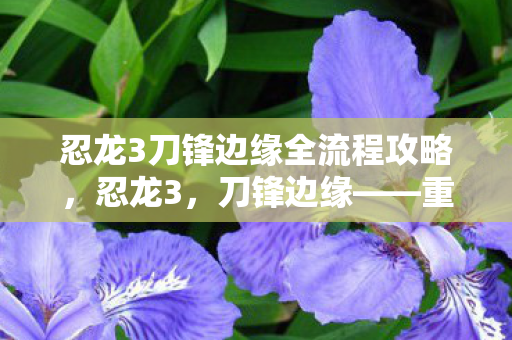 忍龙3刀锋边缘全流程攻略，忍龙3，刀锋边缘——重燃动作游戏的激情