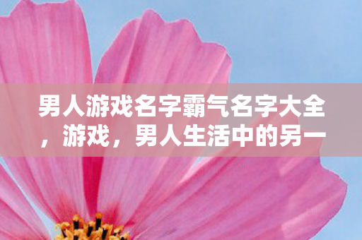 男人游戏名字霸气名字大全,游戏,男人生活中的另一种战场 男人游戏名字霸气名字大全,游戏,男人生活中的另一种战场