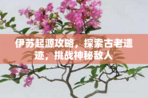 伊苏起源攻略,探索古老遗迹,挑战神秘敌人 伊苏起源攻略,探索古老遗迹,挑战神秘敌人