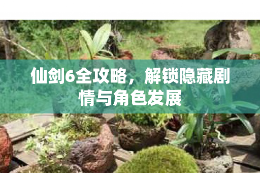 仙剑6全攻略，解锁隐藏剧情与角色发展
