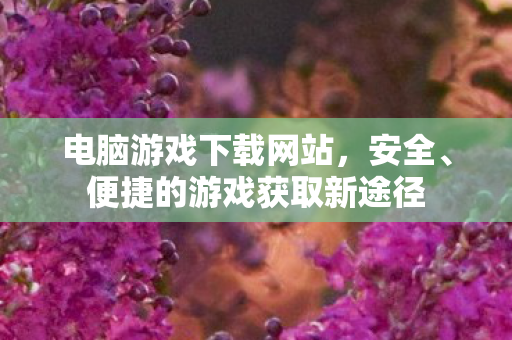 电脑游戏下载网站，安全、便捷的游戏获取新途径